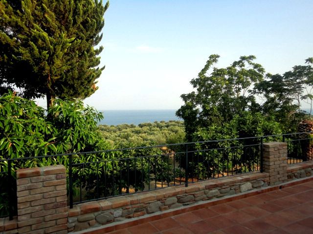 Vista della tenuta 12