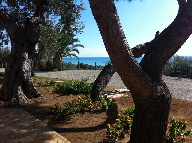 Vista della tenuta 25