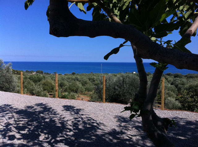 Vista della tenuta 26