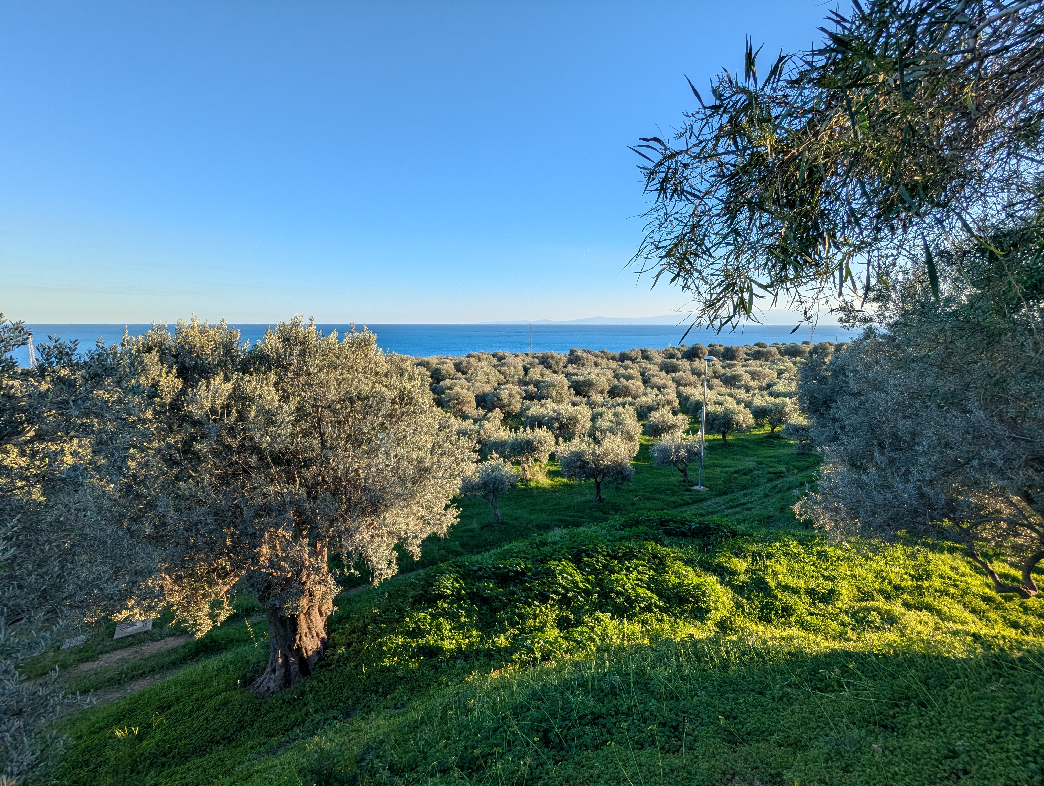 Vista della tenuta 33