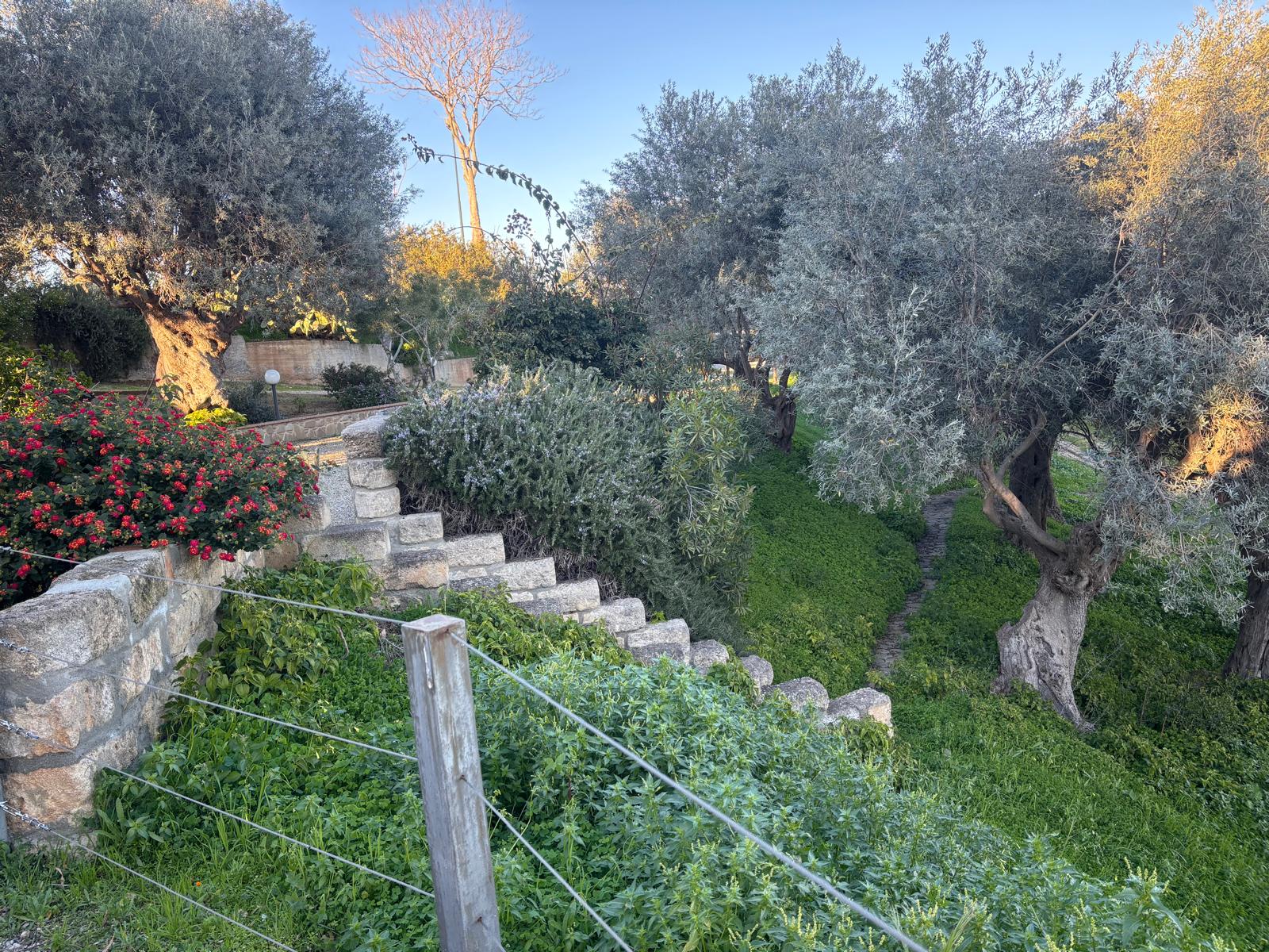 Vista della tenuta 37
